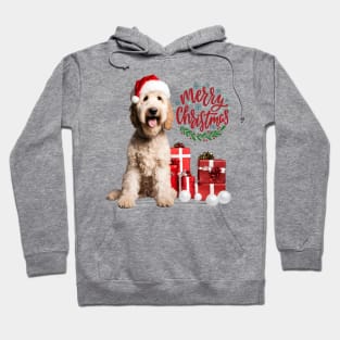 Doodle Merry Christmas Hoodie